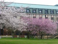 Hotel Belevue