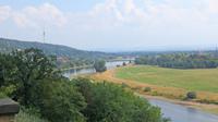 IMG 4901