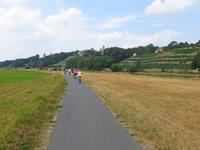 IMG 4951