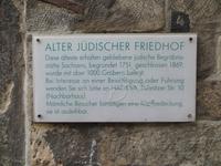 IMG 4995
