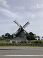 IMG 8284