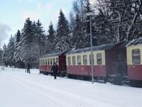 IMGP3554