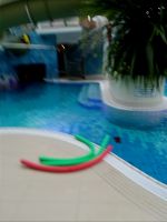IMG_20211103_080754.jpg