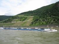 IMG_4160