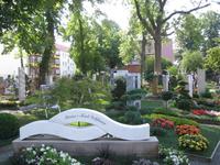 IMG_4503DDomberg Havelberg