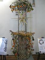 IMG_4520