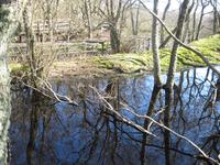 IMG_5131