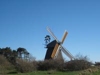IMG_5172