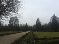 IMG_6086