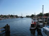 IMG_7352