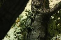IMG_9498