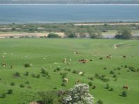 Idylle Hiddensee