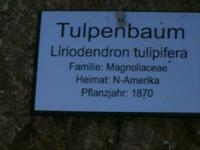 Im Arboretum