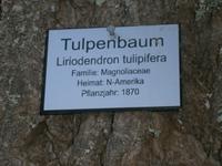 Im Arboretum