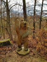 Im Bärenpark