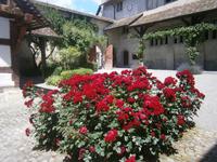 Im Hof des Klosters 