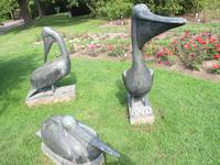 Im Rosarium