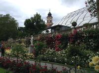 Im Rosengarten