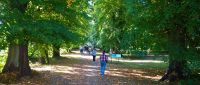 Im Schlosspark Putbus