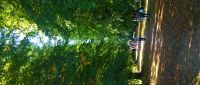 Im Schlosspark Putbus