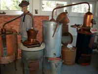 Im Schnapsmuseum 