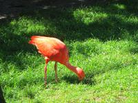 Im Vogelpark Walsrode 