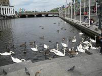 Innenalster
