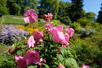 Insel Mainau