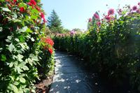 Insel Mainau