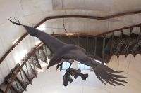 Jagdschloss Granitz im Treppenhaus