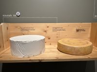 Käse in verschiedenen Stadien