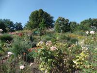 Klostergarten