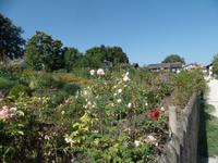 Klostergarten