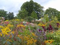 Klostergarten