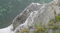 Kreidefelsen mit Feuersteinen