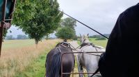 Kremserfahrt mit Sommerwind und Goldperle