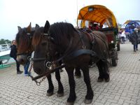 Kutsche mit 2 PS