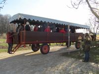 Kutschfahrt 
