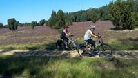 Kutschfahrt durch die Heide