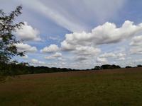 Lüneburger Heide