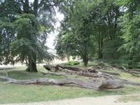 Lüneburger Heide