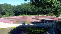 LSG Höpen-Heidegarten