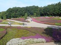 Landschaftsschutzgebiet Höpen (Heidegarten)