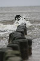 Meer