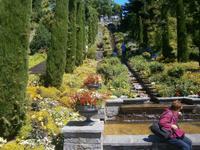 Mit Blumen und Pflanzen gestaltete Wassertreppe