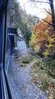 Mit der Zahnradbahn auf den Wendelstein