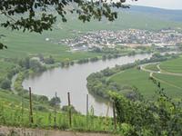 Moselschleife