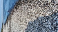 Muschelberge