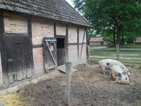 Museumsdorf Hösseringen (Schweinestall von ca. 1835)