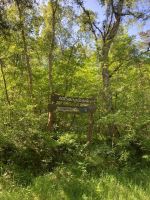 Nationalpark Bug - ganz im Nordwesten von Rügen 